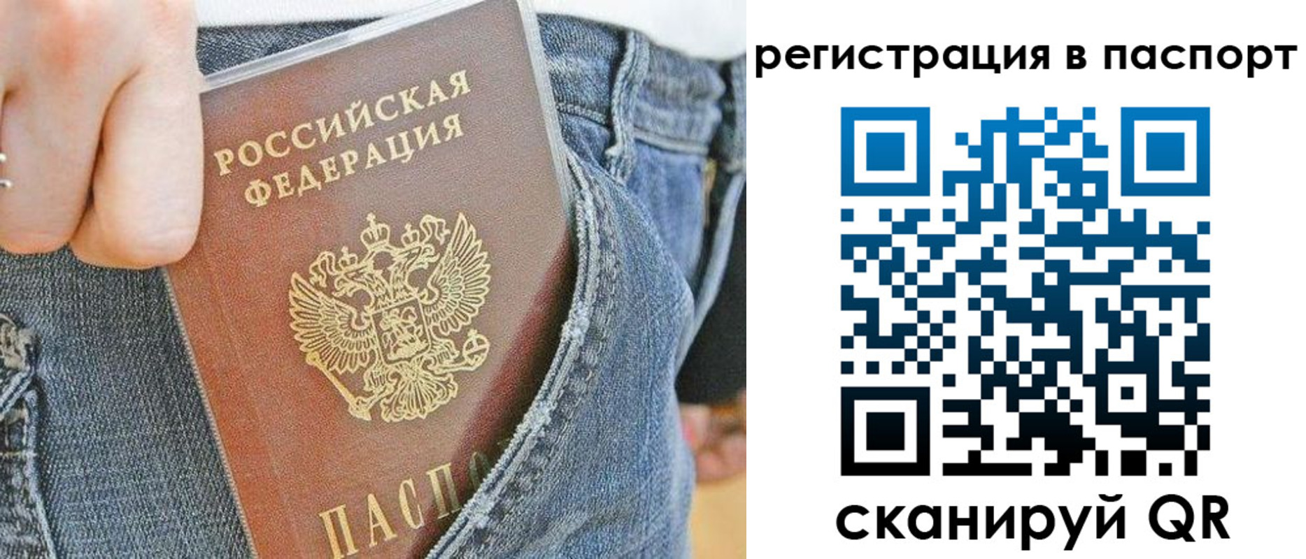 регистрация в Димитровграде